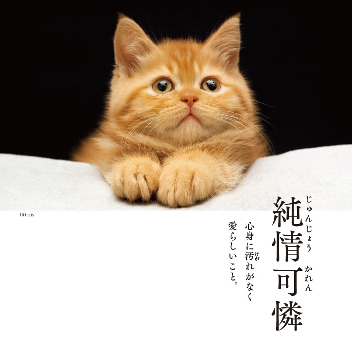 ちょっとひと息 わんにゃん四字熟語「明朗闊達」「純情可憐